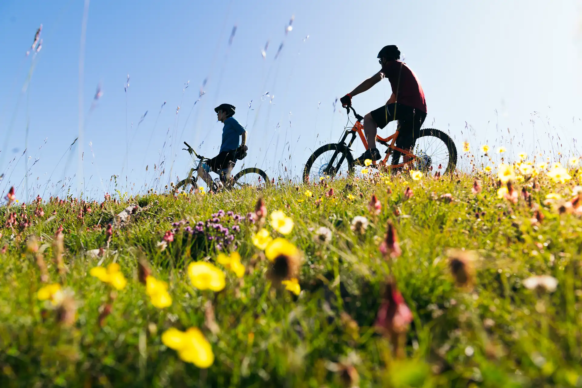 Mountainbike